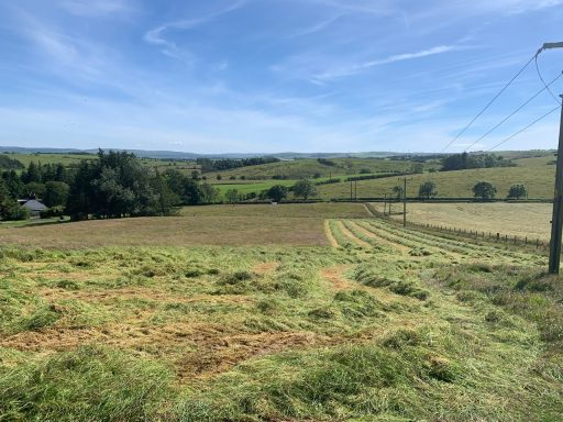 hay field