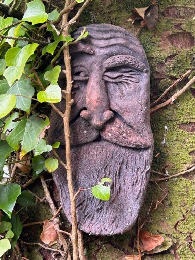 Woodland walk