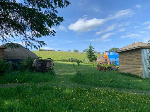 woody and Bru Bus glamping field