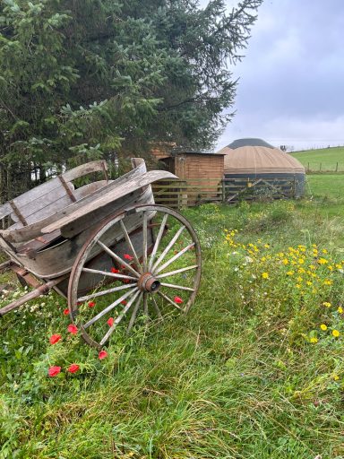 Glamping Field